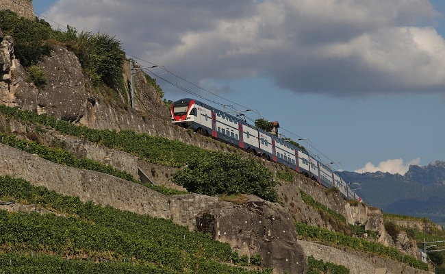 sbb-rabe-511-trains-des-vignes2 SBB CFF FFS, RABe 511 -- Vevey-Chexbres -- 15.08.2018